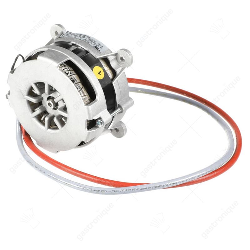 Motor oven