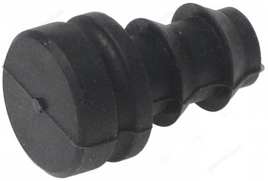 steam generator plug