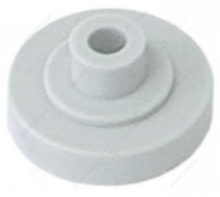 filter holder for dosing pump
