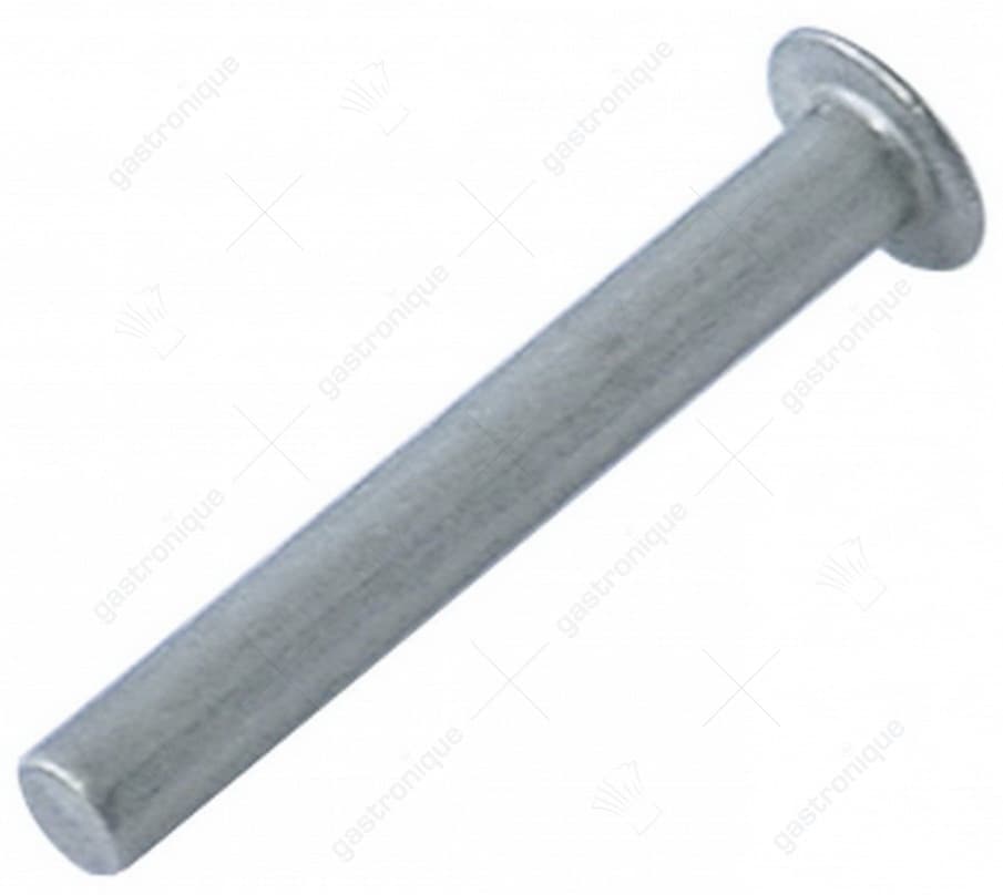 hinge pin
