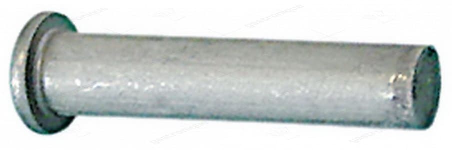 hinge pin