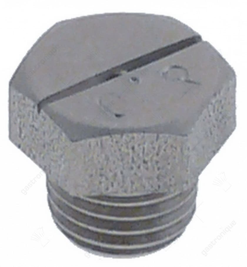 naspoelsproeier ø 0,3mm H 9,5mm draad 1/16" NPT SB 10