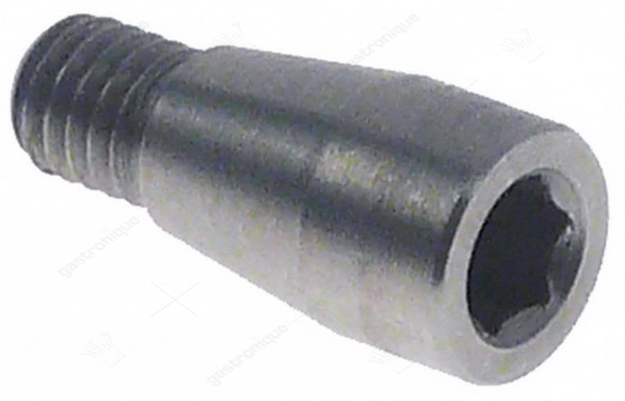 hopper screw