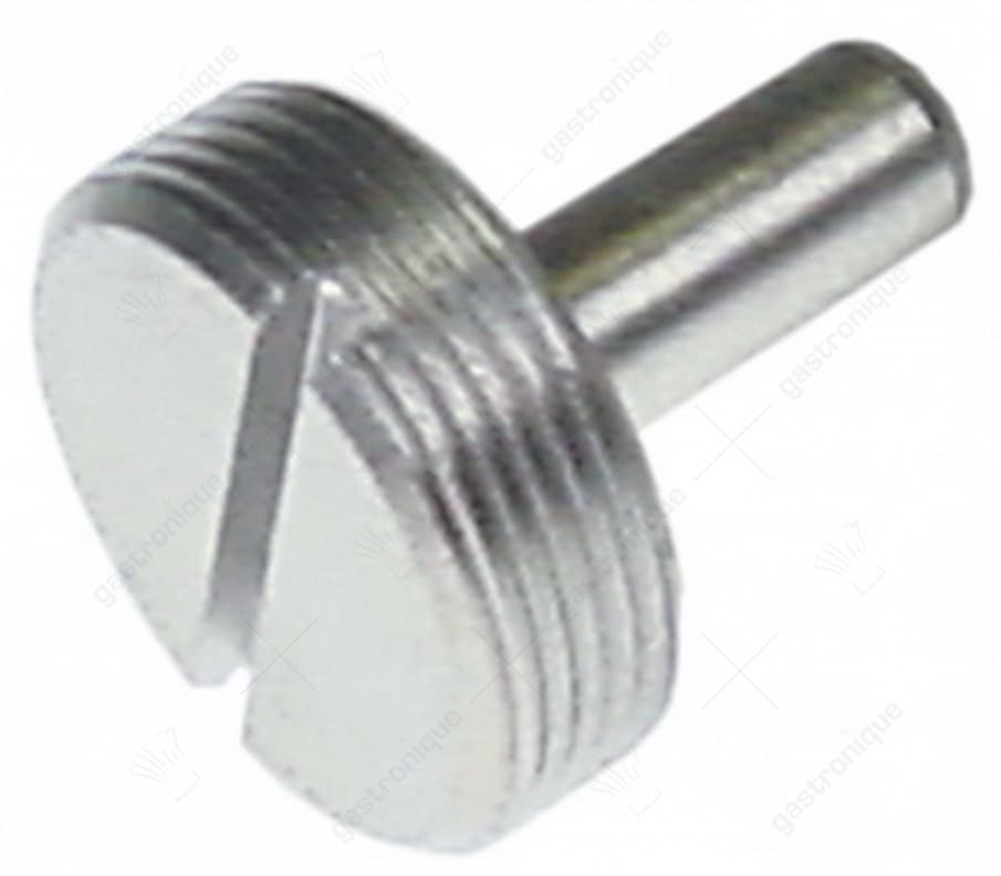 pressure screw with bearing