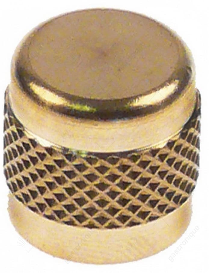 schroefkap CASTEL 8392/A grootte 1/4" SAE voor schraderventiel aansluiting 1/4" VPE 1