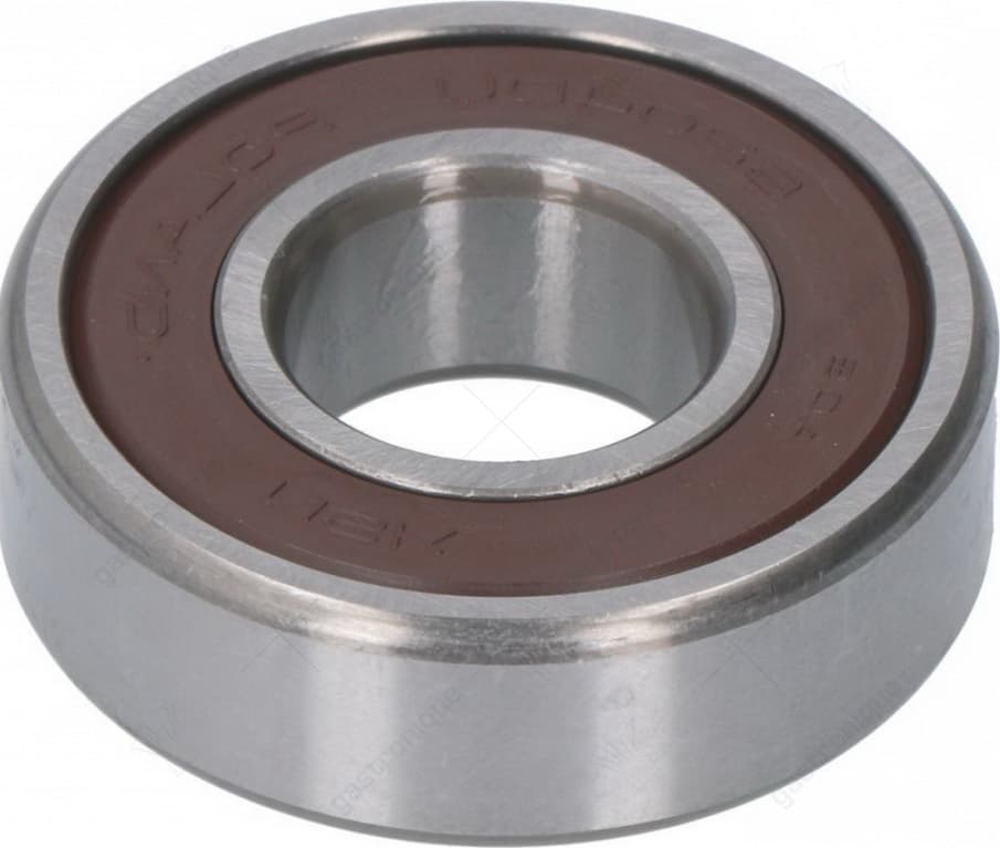 lager 6204 ddu nsk