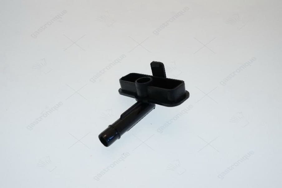 lid for dispensing spout