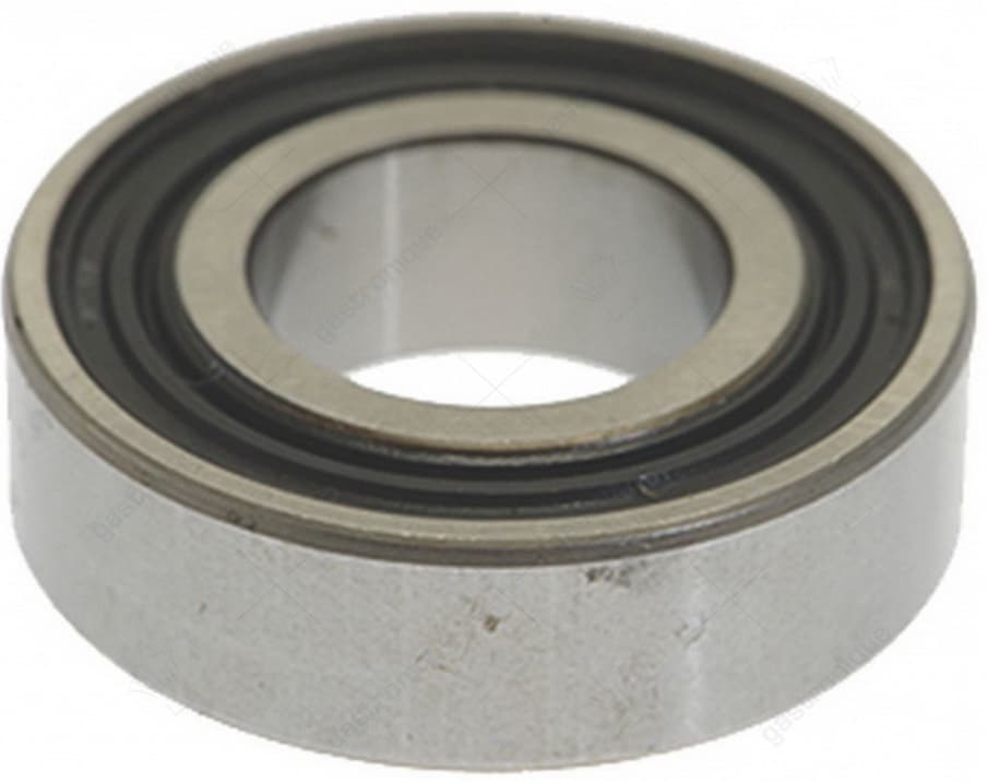 lager 6003 ddu nsk