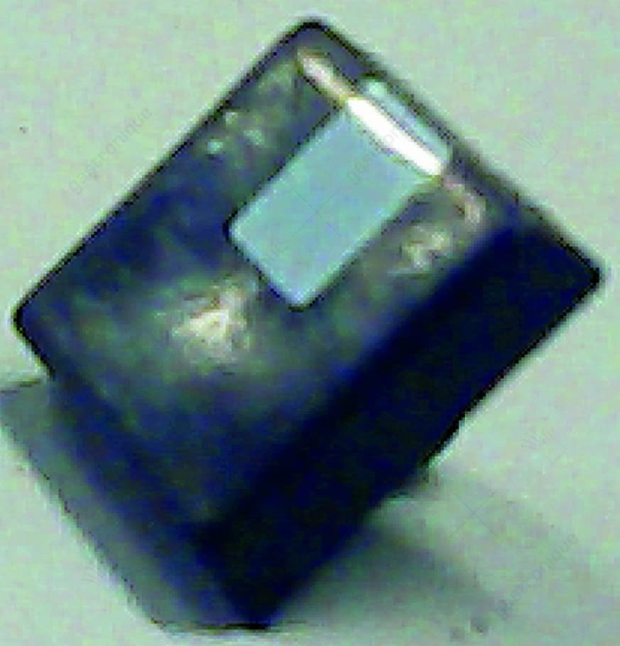 black knob poiner