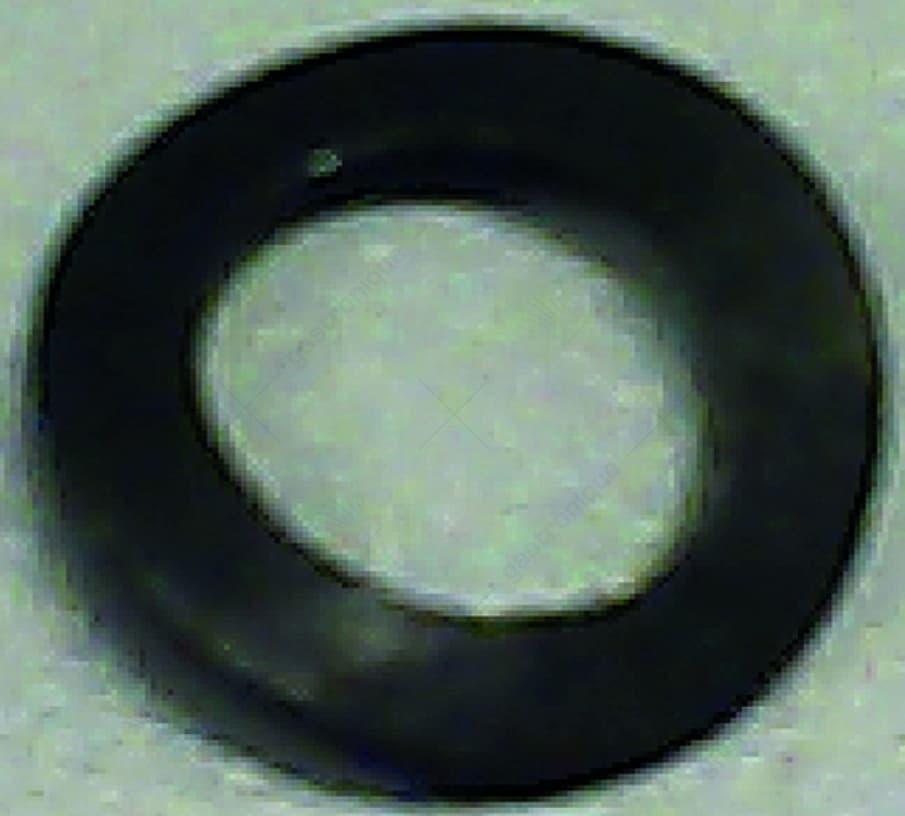 schijf