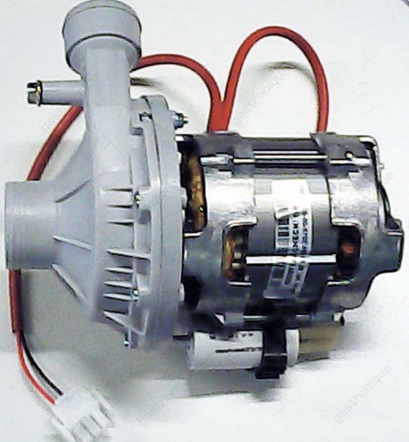 pomp - Image 1