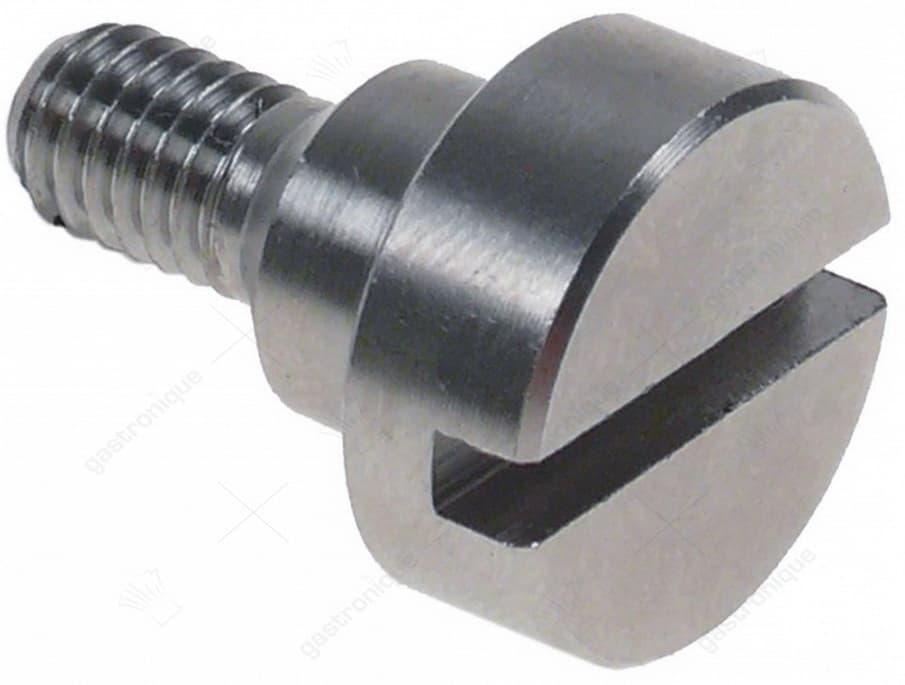 fixing screw for conveyor m6x8 - Image 1