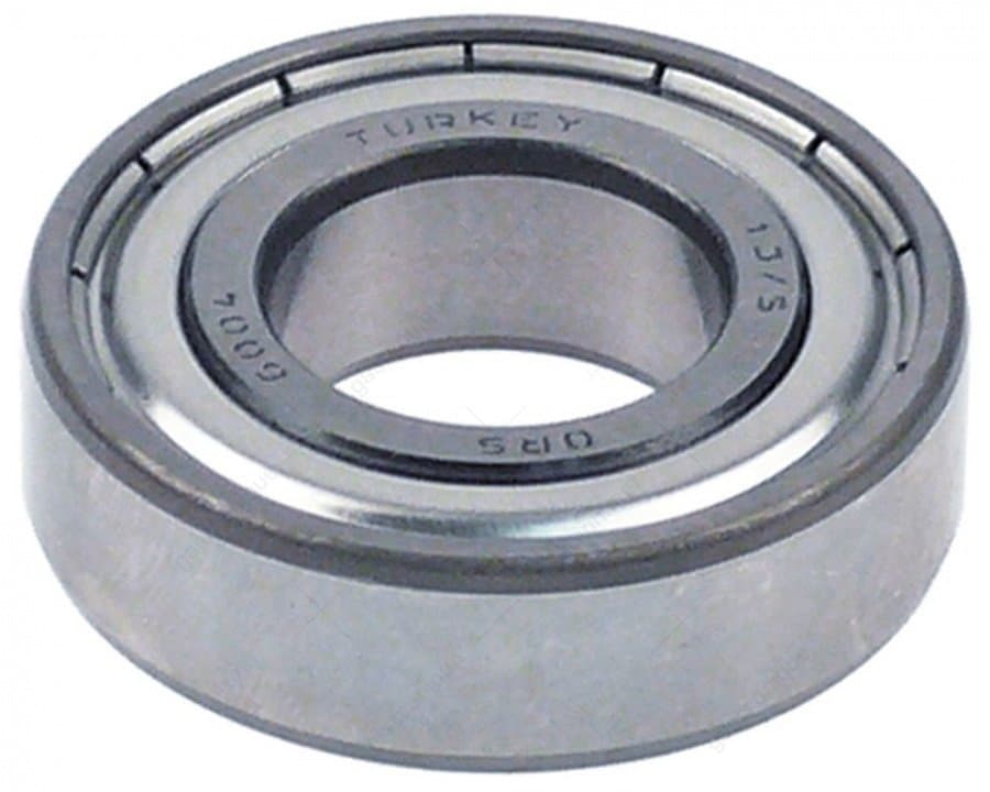 lager 6004 zz nsk