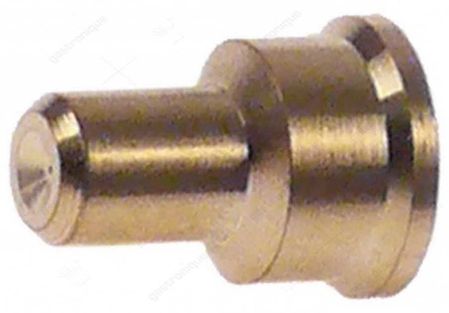 inspuiter voor waakvlambrander ø 0,20 mm - Image 1