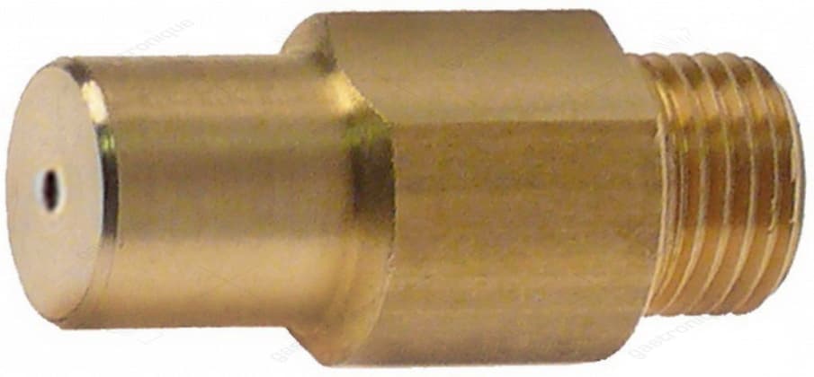 inspuiter m10x1 ø 2,20 mm
