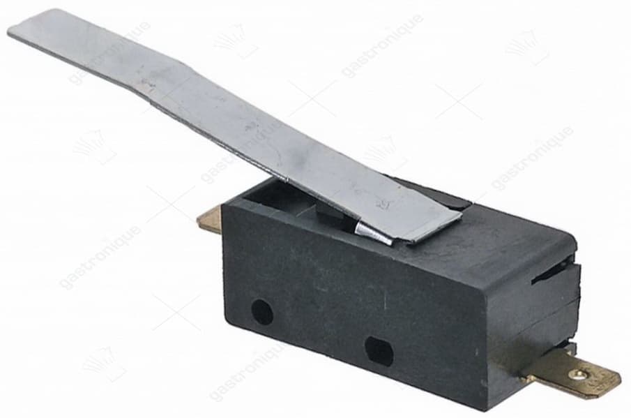 micro-switch 15a 250v