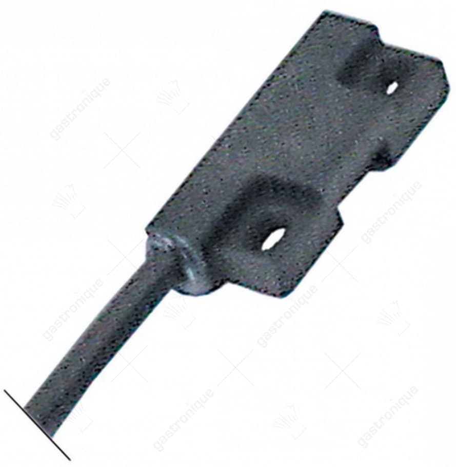 microschakelaar magnetisch stem e550 1b