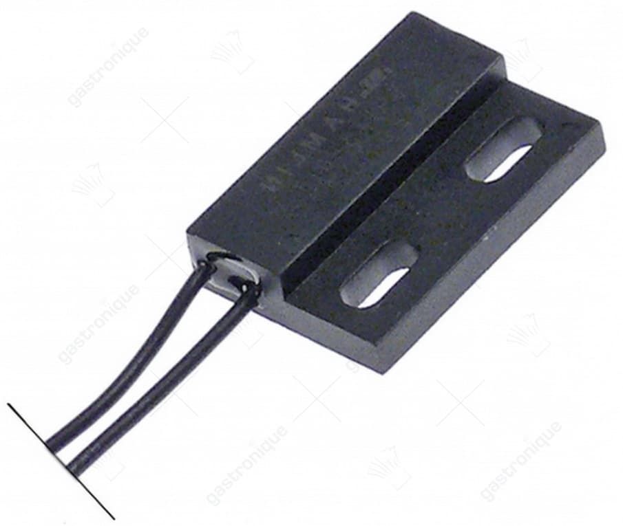 magnetic switch 29x19 mm