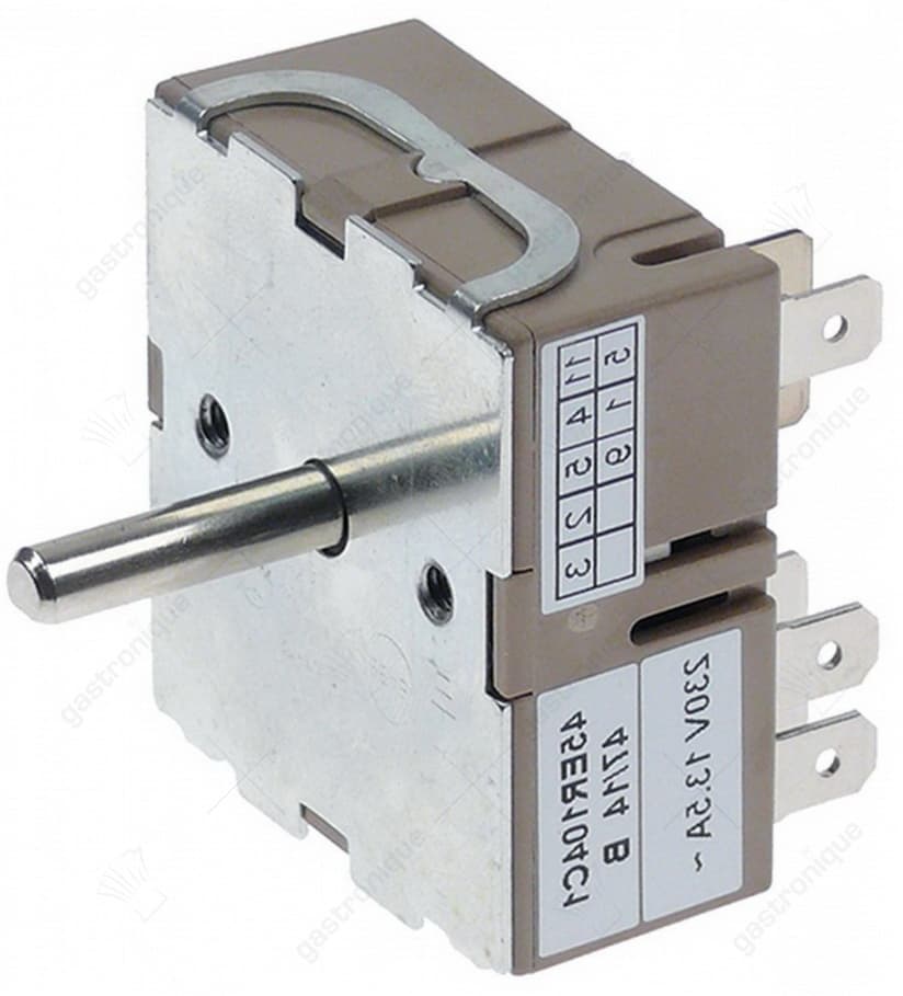 energy regulator