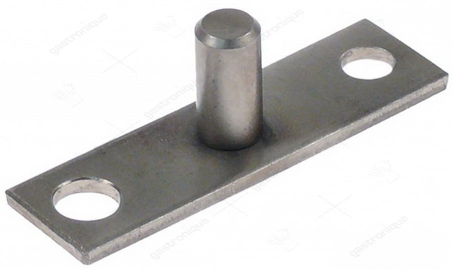 deurscharnier inbouwpositie links ø 10mm L 70mm 