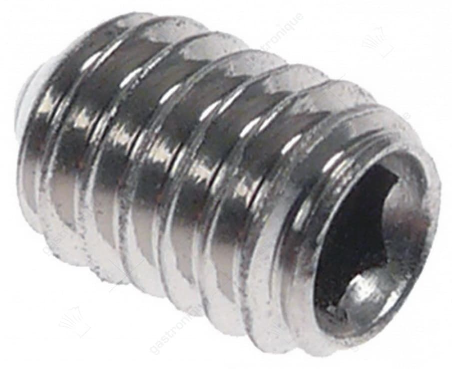 stelschroef draad M4 L 6mm RVS DIN 914 opname interne zeskant SB 2 vpe 20stuk