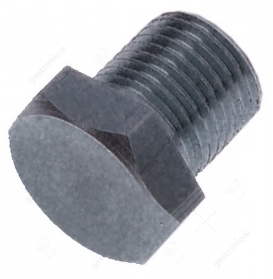 schroef draad 1/8" met pakking draad L 15mm V2A SB 13 kopdikte 4mm
