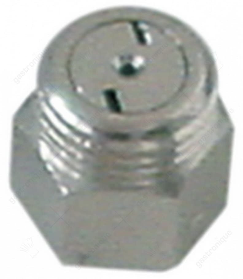naspoel sproeier compleet 1/8"