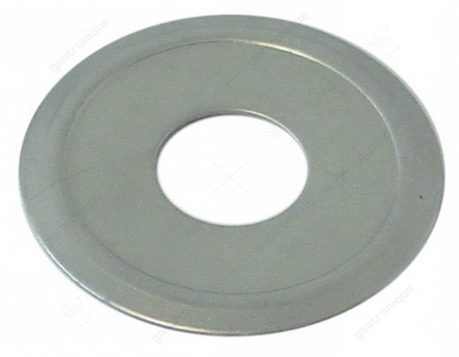 schijf rvs 50x18x2 mm