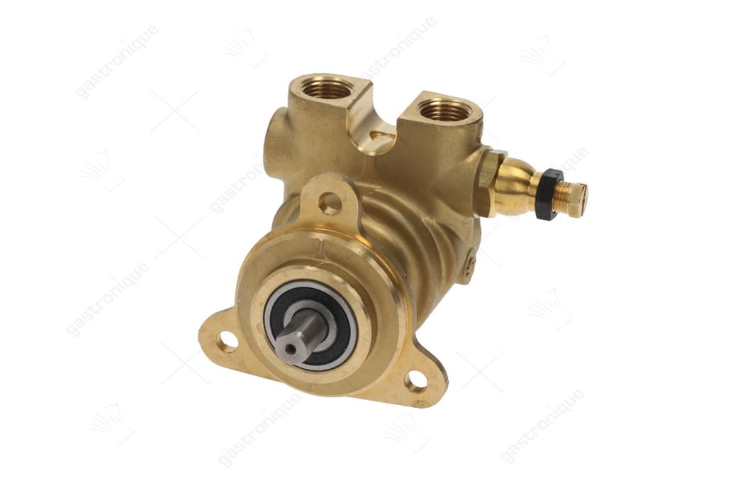pomp rotoflow ø 3/8" npt - Image 1