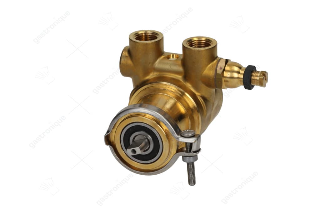 pomp rotoflow ø 3/8" npt