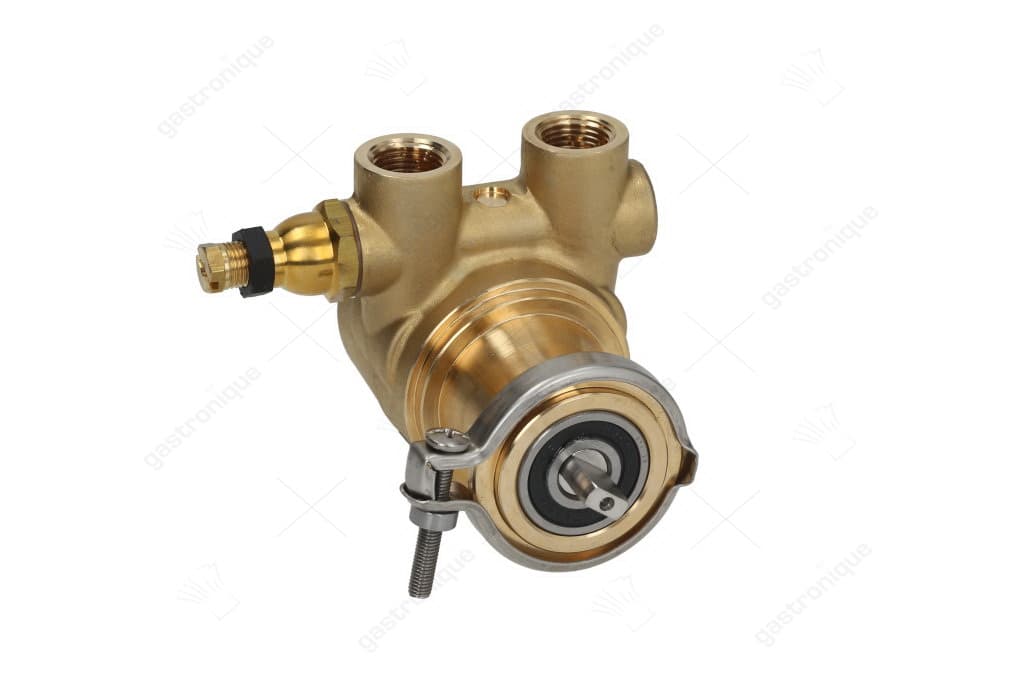 pomp rotoflow ø 3/8" npt