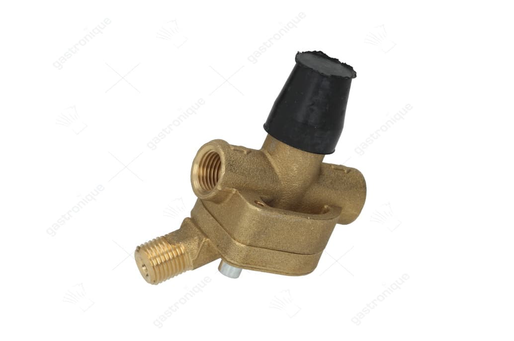 gas regulator dk 2 bar ø 1/4"ff - Image 1
