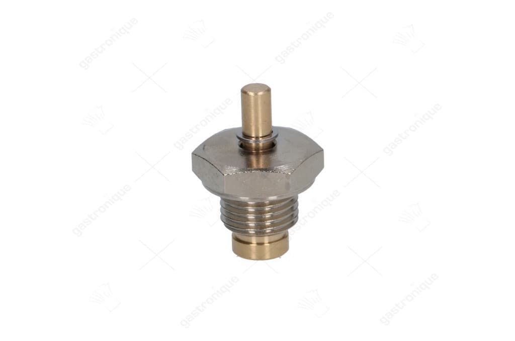 maximaalventiel ø 1/4"m
