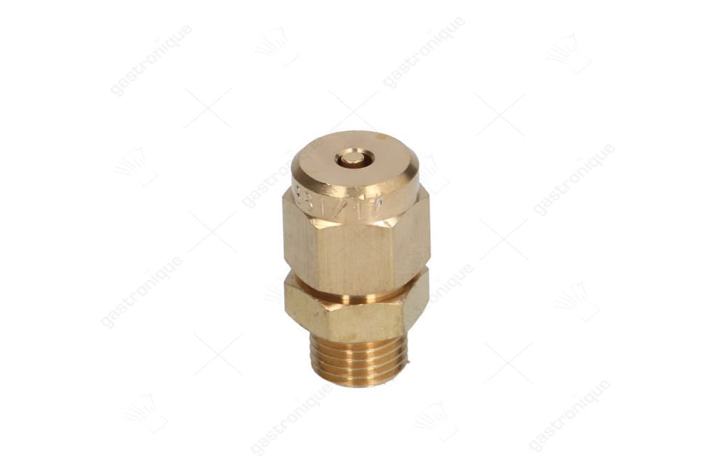 maximaalventiel ø 1/4"