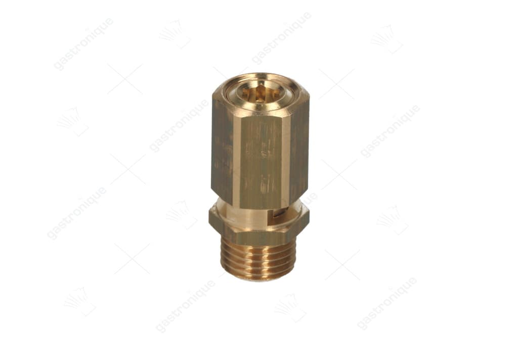 maximaalventiel ø 1/4"m