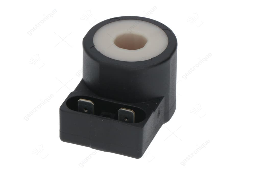 magnetic coil