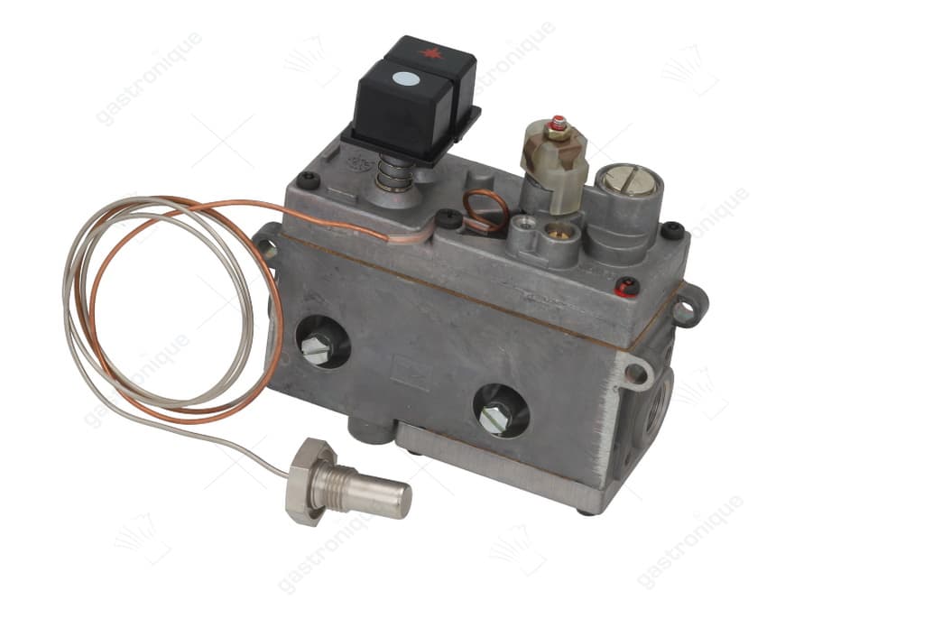 regelaar friteuse minisit 110° tot 190°c