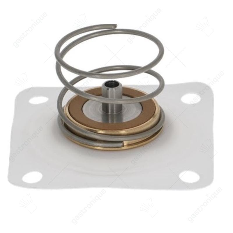 membraam aansluiting 3/4" serie L145-R membraantype PTFE