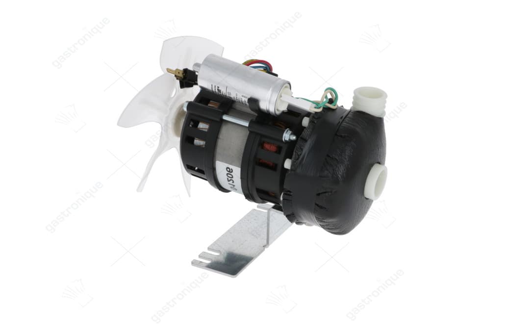 pomp olympia t19