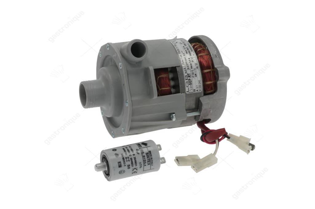 PUMP LGB SEP-RT 0.20HP - Image 1