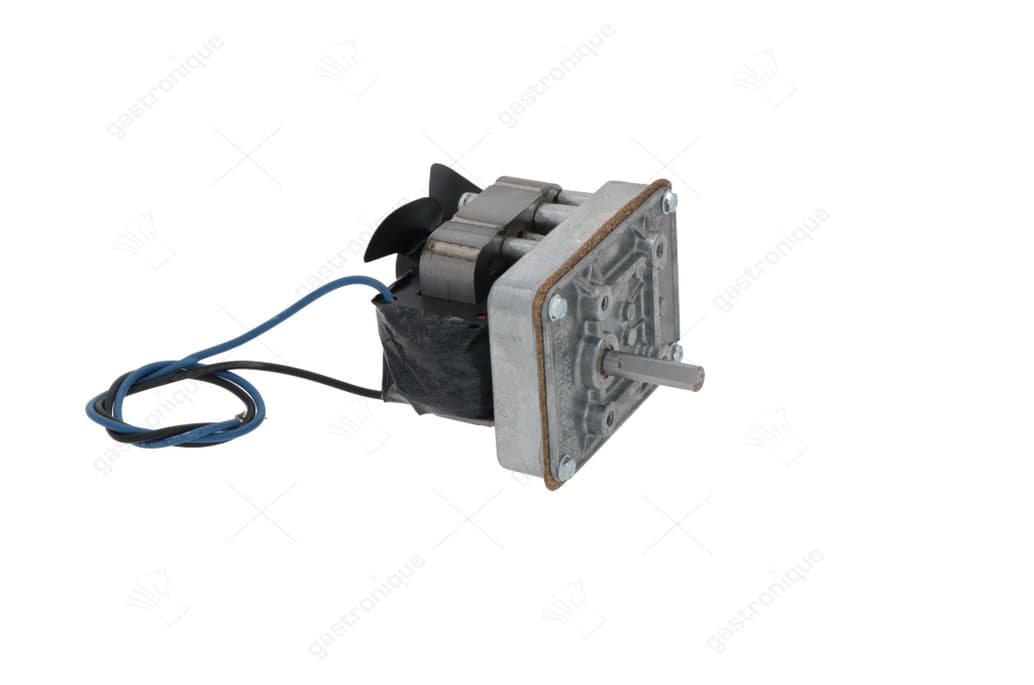 gear motor 230v 50/60hz 16a