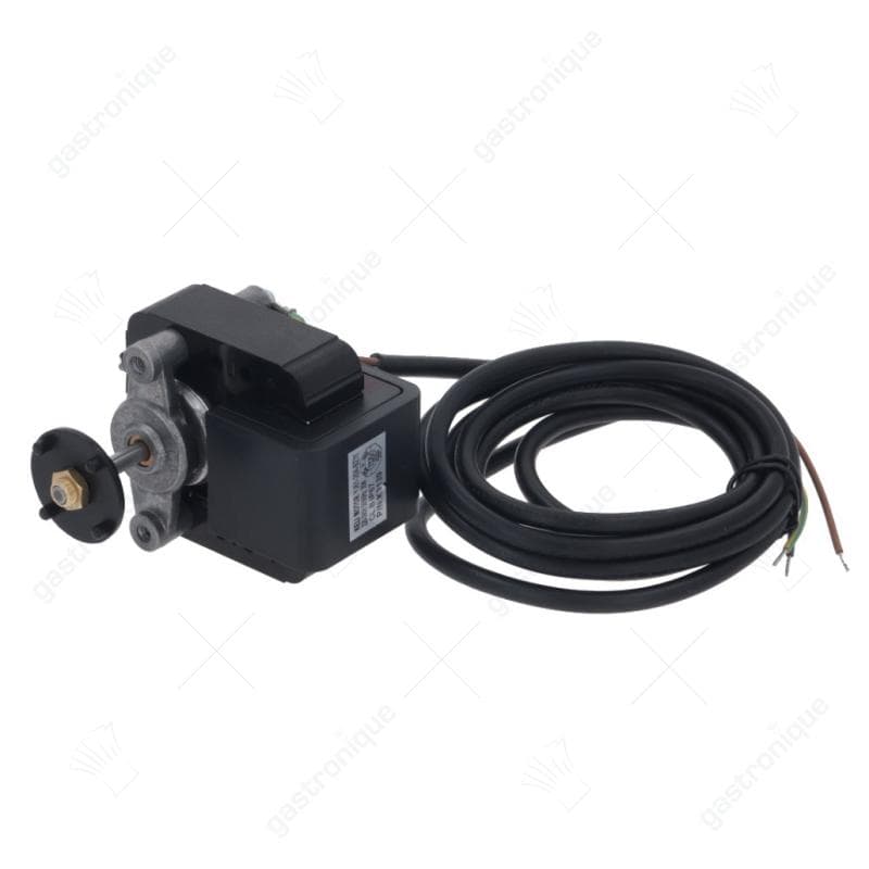 MOTOR FERGAS VAX 150/30 252102 - Image 1
