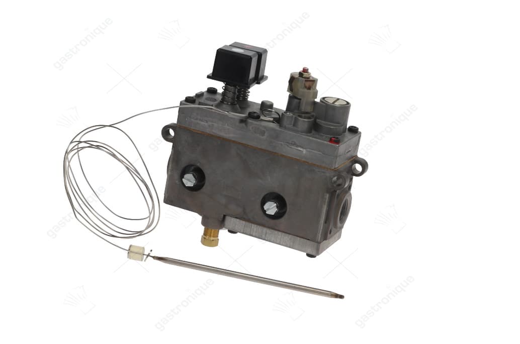 regelaar minisit friteuse 70° tot 210°c