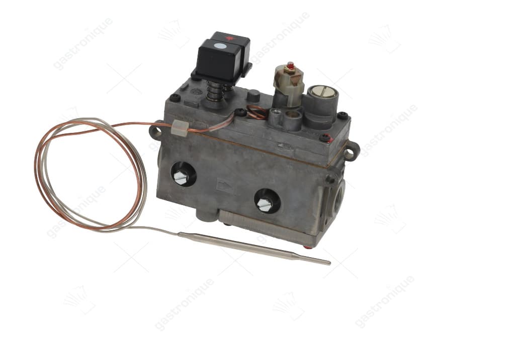 regelaar minisit friteuse 50° tot 190°c