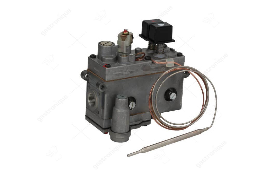 regelaar minisit friteuse 110° tot 190°c