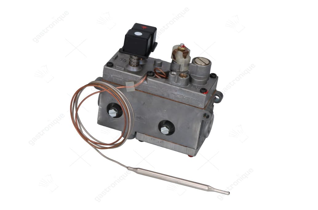 regelaar minisit friteuse 110° tot 190°c