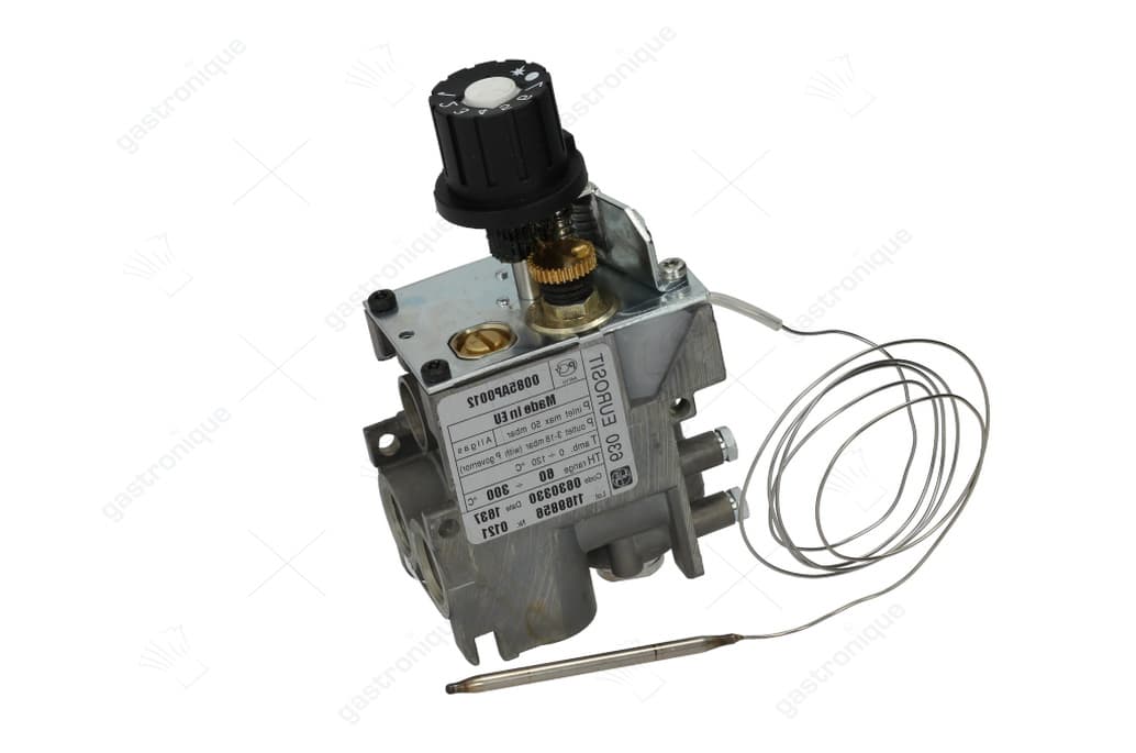 regelaar eurosit fry top 60 a 300°c