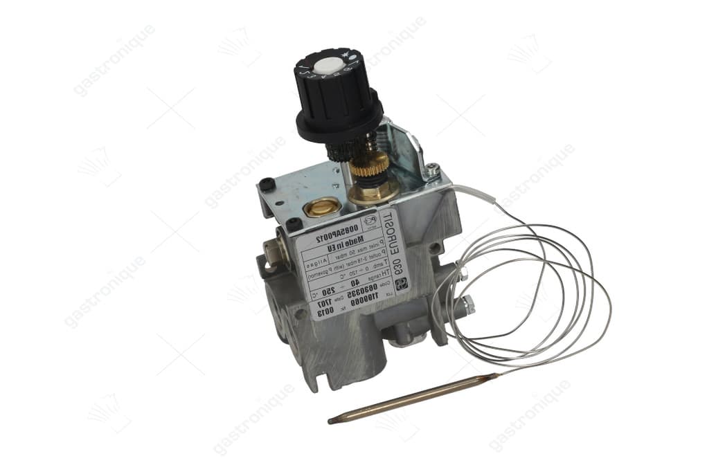 regelaar eurosit fry top 40 tot 250°c - Image 1