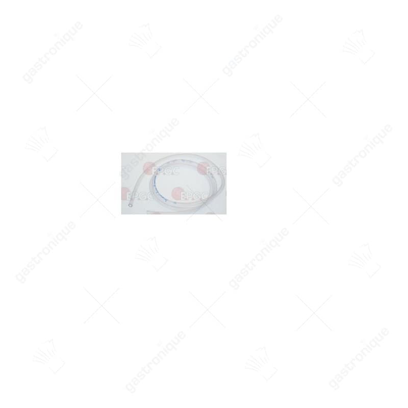 slang - Image 1