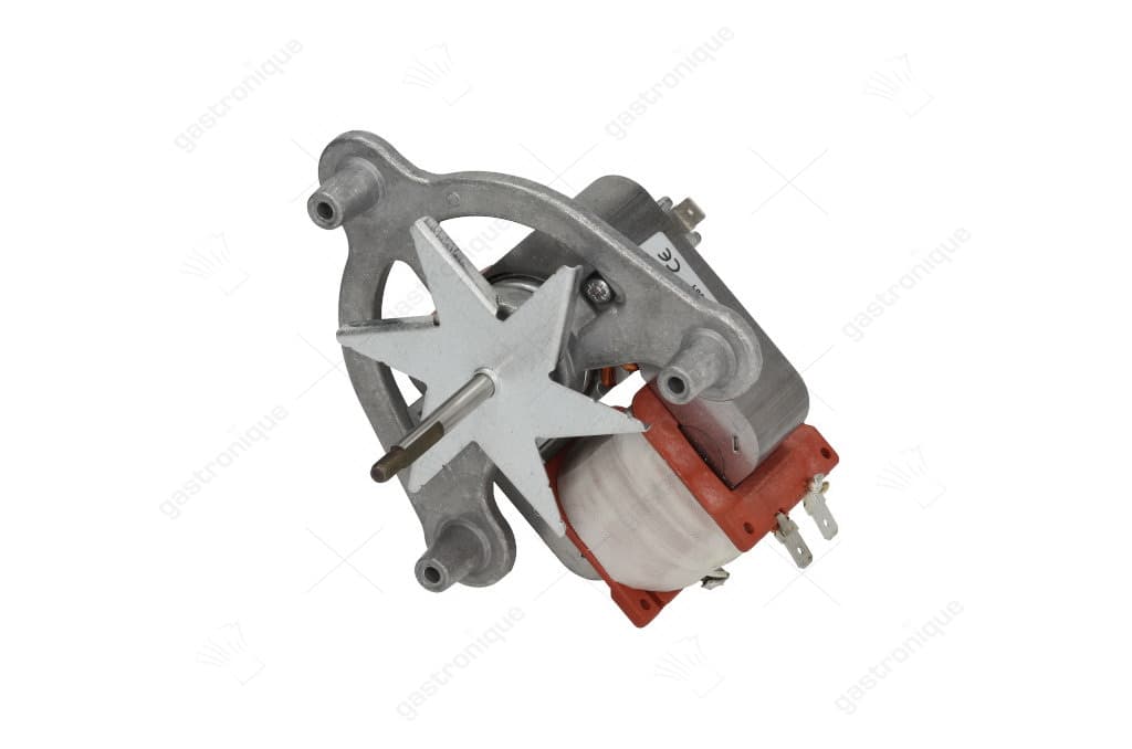 motor for fan